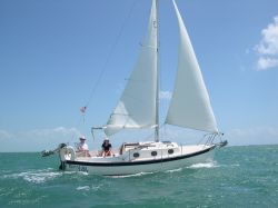 Sailboats4