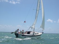 Sailboats5