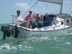 Sailboats7