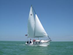 Sailboats8