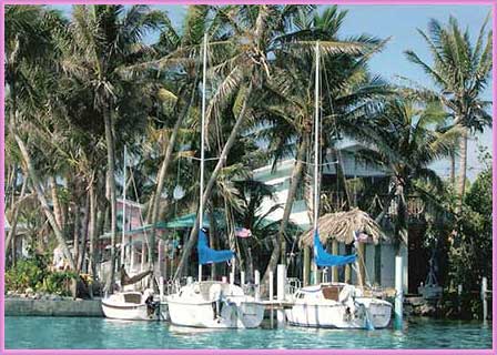boatspink